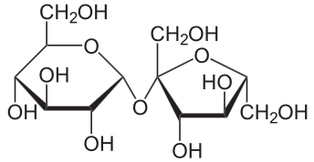  Connectivity diagram of Sucrose